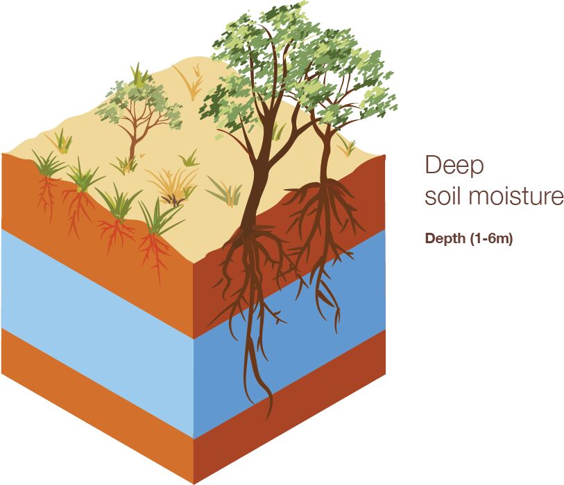 Australian Landscape Water Balance (Bureau of Meteorology) Australian Landscape Water Balance (Bureau of Meteorology)