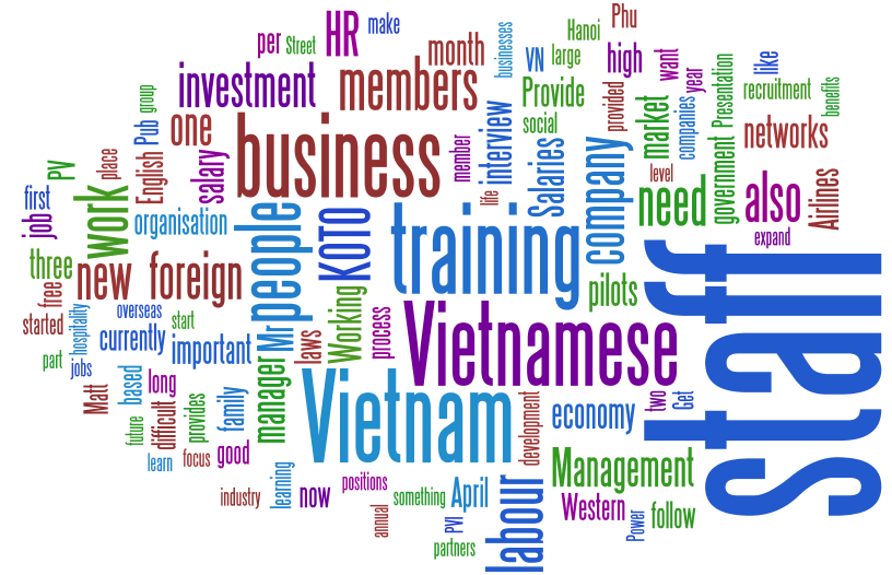 Word frequency distribution in the interviews Word frequency distribution in the interviews