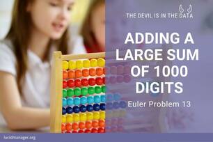 Solutions to project Euler 13: Adding 50 large integers - Arbitrary-Precision Arithmetic in the R language with the GMP library and base R code