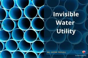 Series of articles and book about the relationship between customer experience and employee behaviour in urban water supply.