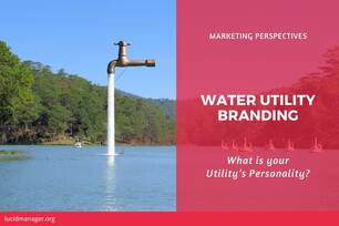 Tap water is an undifferentiated and unbraded commodity service and the utility is invisible. How do you implement water utility branding?